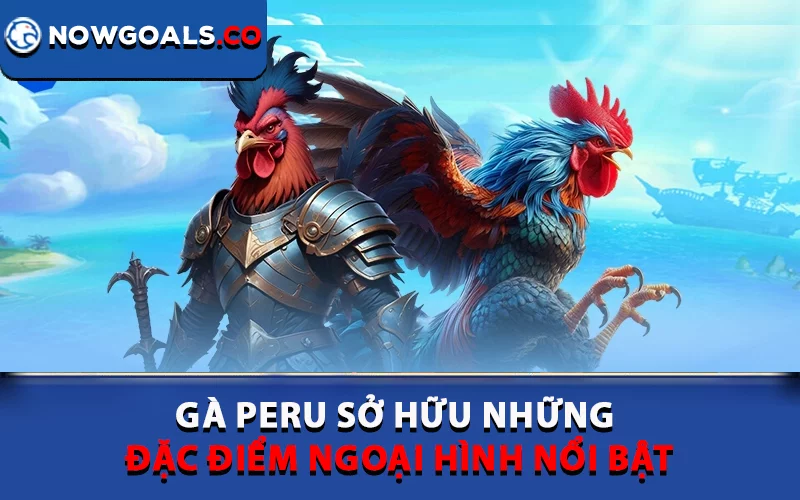 Gà Peru sở hữu những đặc điểm ngoại hình nổi bật