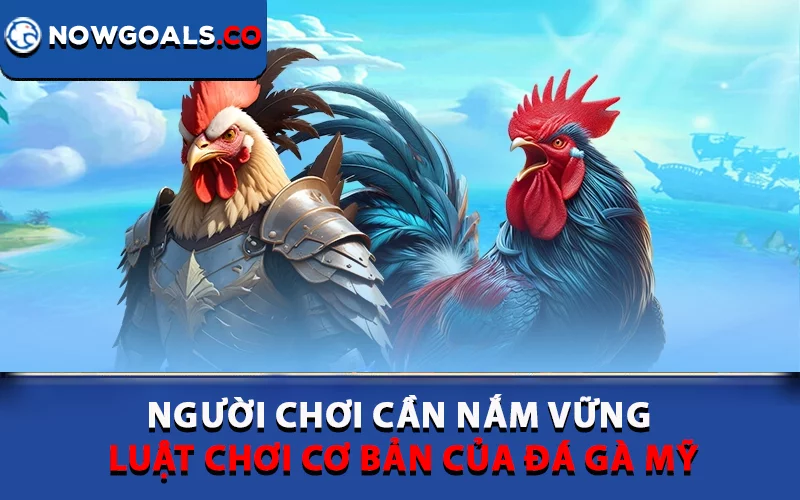 Người chơi cần nắm vững luật chơi cơ bản của đá gà Mỹ