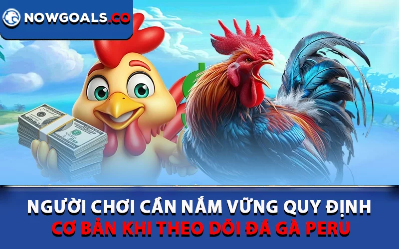 Người chơi cần nắm vững quy định cơ bản khi theo dõi đá gà Peru