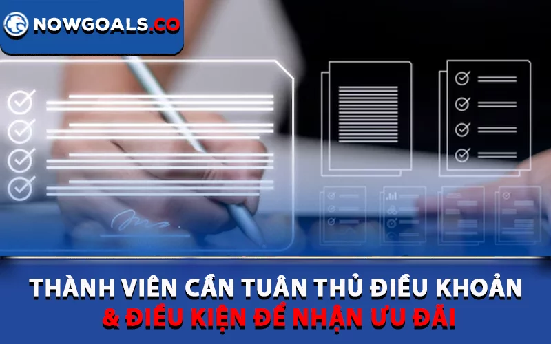 Cả người chơi lẫn nhà cái Nowgoal đều phải tuân thủ quy định