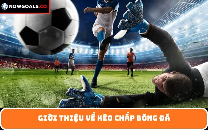 Giới thiệu về kèo chấp bóng đá