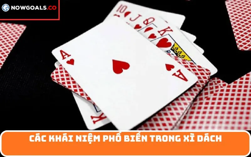 Các khái niệm phổ biến trong xì dách