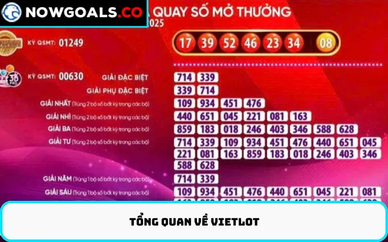 Tổng Quan Về Vietlot