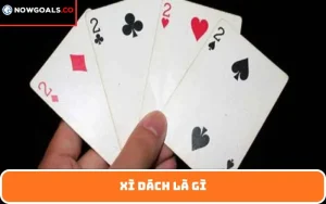 Xì dách là gì