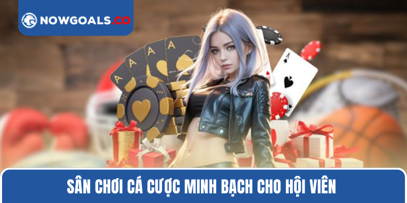 Sân chơi cá cược minh bạch cho hội viên